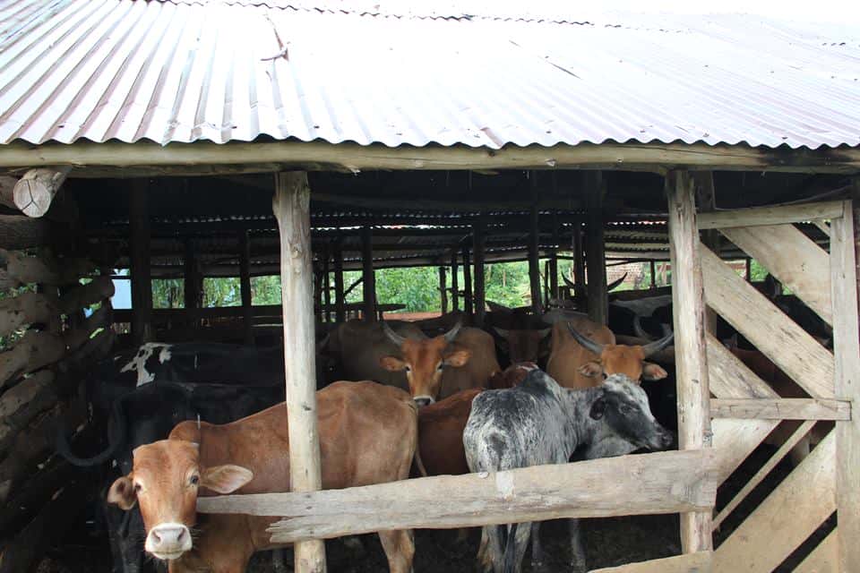 Farmore integrated organic farm — photo 4